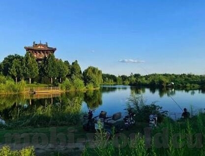 52竞彩足球比分-探秘52竞彩足球比分，数据背后的策略与激情碰撞