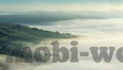 星空体育网站入口-星空体育，探索无限可能的在线体育盛宴
