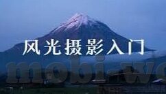 有没有森林舞会单机版-有没有森林舞会单机版，一场虚拟森林中的舞蹈盛宴